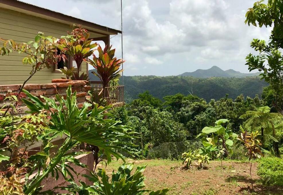 Cabin Mountain View Near Ponce Slepts 8 Exterior photo